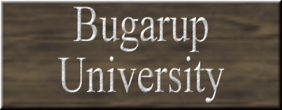 Bugarup University